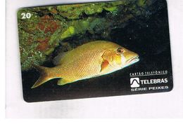 BRASILE ( BRAZIL) - TELEBRAS   -   1995  FISHES: LUTJANUS JOCU  - USED - RIF.10494 - Pesci