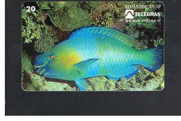 BRASILE ( BRAZIL) - TELEBRAS   -   1995  FISHES: SCARUS GUACAMAIIA                     - USED - RIF.10495 - Vissen