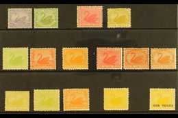 WESTERN AUSTRALIA 1901-12 FINE MINT COLLECTION Presented On A Stock Card. Includes 1902-11 1d 5d, 8d & 10d Plus A Perf 1 - Andere & Zonder Classificatie
