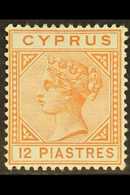 1892-94 12pi Orange Brown, Die II, SG 37, Very Fine Mint. For More Images, Please Visit Http://www.sandafayre.com/itemde - Sonstige & Ohne Zuordnung