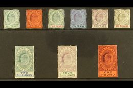 1904-08 KEVII Definitive Set, SG 56/64, Some Tiny Imperfections, Generally Fine Mint, The £1 Value Is Superb With Virtua - Gibilterra