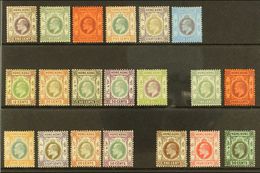 1903-11 KEVII MINT SELECTION Presented On A Stock Card. Includes 1903 CA Watermark Set To $1, 1904-06 MCA Watermark Rang - Other & Unclassified