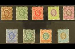 1907-08 KEVII New Currency Complete Set, SG 34/42, Fine Mint. Fresh! (9 Stamps) For More Images, Please Visit Http://www - Vide
