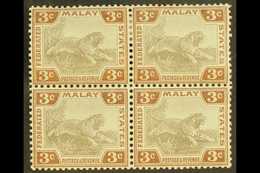 FMS 1904-22 3c Grey And Brown, SG 32, Very Fine Mint Block Of Four, Lower Pair Never Hinged. For More Images, Please Vis - Other & Unclassified