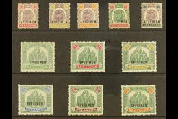 SELANGOR 1895-99 Set To $25 Complete, Overprinted "Specimen", SG 54s/64s, Very Fine Mint. (11 Stamps) For More Images, P - Sonstige & Ohne Zuordnung