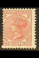 1878 2s Deep Rose, Wmk 6mm NZ And Star, Perf 12 X 11½, SG 185, Fresh Mint But Mis-perfed To Right. For More Images, Plea - Altri & Non Classificati