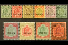 1908 Definitives Set Complete Overprinted "SPECIMEN", SG 59s/66s, Fresh Mint (10 Stamps) For More Images, Please Visit H - Nyasaland (1907-1953)