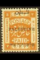 1920 3m Chestnut Overprint Perf 14, SG 28, Very Fine Mint, Fresh. For More Images, Please Visit Http://www.sandafayre.co - Palestine