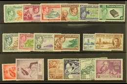 1940-1949 COMPLETE SUPERB MINT RUN On A Stock Card, All Different, Complete SG 1/16, Note 1940-51 Set, 1949 Wedding & UP - Islas De Pitcairn