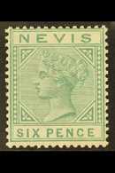 1883 6d Green, SG 32, A Beautifully Fresh Mint Example With Stunning Colour And Large Part Gum, Hard To Find So Nice. Fo - St.Christopher, Nevis En Anguilla (...-1980)