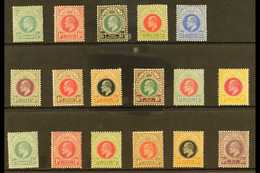 NATAL 1902-1909 MINT SELECTION On A Stock Card. Includes 1902-03 Set To 1s Plus 4s, 1904-08 Set To 5d & 1908-09 6d. Gene - Ohne Zuordnung