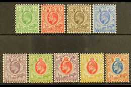 ORANGE FREE STATE 1903-04 KEVII Definitive Complete Set, SG 139/147, Very Fine Mint (9 Stamps) For More Images, Please V - Unclassified