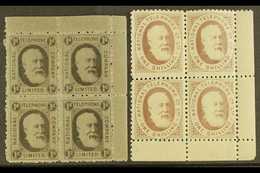 NATIONAL TELEPHONE COMPANY 1884 1d Black And 1s Brown, Barefoot 1 And 5, Both In Very Fine Mint Corner Marginal BLOCKS O - Andere & Zonder Classificatie