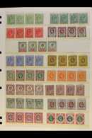1902-1913 SUBSTANTIAL MINT ACCUMULATION On Stockcards, Leaves/stockleaves, Etc. Can See Numerous ½d's And 1d's Including - Zonder Classificatie