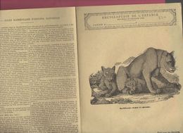 Couverture Illustrée De Cahier D'écolier : Encyclopédie De L'enfance N°6 La Lionne Et Ses Lionceaux  (PPP8220) - Animaux