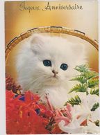 CARTE,JOYEUX ANNIVERSAIRE,AVEC CHAT,BLANC,POILU,CAT,CHATON,PANIER - Anniversaire