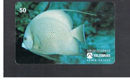 BRASILE ( BRAZIL) - TELEBRAS   -   1995  FISHES: POMACANTHUS ARCUATUS           - USED - RIF.10497 - Peces