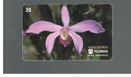 BRASILE ( BRAZIL) - TELEBRAS   -   1995  FLOWERS: ORCHID LAELIA PERRINII           - USED - RIF.10498 - Fleurs