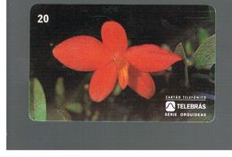 BRASILE ( BRAZIL) - TELEBRAS   -   1995  FLOWERS: ORCHID SOPHRONITIS COCCINEA - USED - RIF.10503 - Fleurs