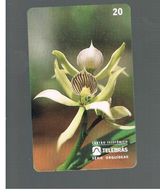 BRASILE ( BRAZIL) - TELEBRAS   -   1995  FLOWERS: ORCHID EPIDENDRUM FRAGRANS      - USED - RIF.10503 - Fleurs