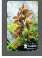 BRASILE ( BRAZIL) - TELEBRAS   -   1995  FLOWERS: ORCHID HOULETIA JURUENENSIS      - USED - RIF.10504 - Fleurs