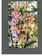 BRASILE ( BRAZIL) - TELEBRAS   -   1995  FLOWERS: ORCHID DENDROBIUM      - USED - RIF.10504 - Fleurs