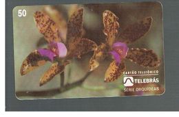 BRASILE ( BRAZIL) - TELEBRAS   -   1995  FLOWERS: ORCHID CATTLEYA GUTTATA - USED - RIF.10506 - Fleurs