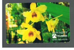 BRASILE ( BRAZIL) - TELEBRAS   -   1995  FLOWERS: ORCHID DENDROBIUM CALCIOLARIA  - USED - RIF.10507 - Fleurs