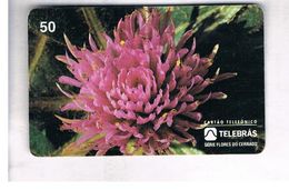 BRASILE ( BRAZIL) - TELEBRAS   -   1995  PLANTS: GOMPHRENA MACROCEPHALA - USED - RIF.10513 - Fleurs