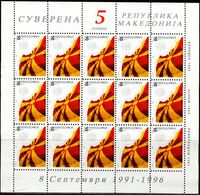 AS4929 Macedonia 1996 Standard National Flag MNH - Stamps