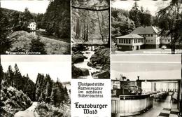 41277464 Teutoburgerwald Waldgaststaette Kattenmuehle Barkhausen - Detmold