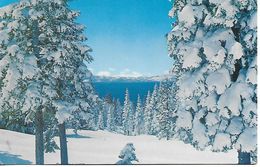 NV NORTH Lake Tahoe, NV,  A SPECTACULAR WINTER - Sonstige & Ohne Zuordnung