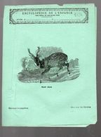 Couverture Illustrée De Cahier D'écolier : Encyclopédie De L'enfance N°57: Le Cerf Axis (PPP8234) - Tiere