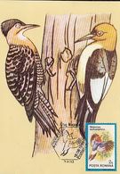 ANIMALS, BIRDS, RED HEADED WOODPECKER, MAXIMUM CARD, 1992, ROMANIA - Spechten En Klimvogels