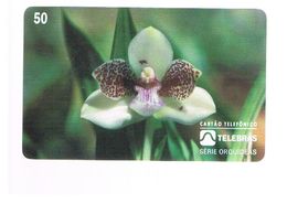 BRASILE ( BRAZIL) - TELEBRAS   -   1995  FLOWERS: ORCHID PABSTIA JUGOSA           - USED - RIF.10514 - Fleurs