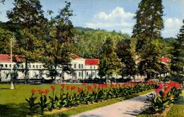 003442 Bad Gleichenberg - Kurpark. Motiv Mit Kurmittelhaus - Bad Gleichenberg