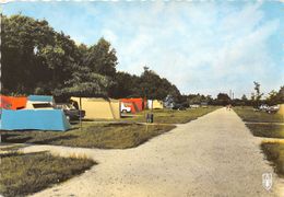 45-LA FETE-SAINT-AUBIN- LE CAMPING - La Ferte Saint Aubin