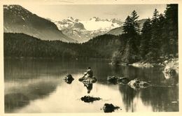 003450 Altausseersee Mit Dachstein 1949 - Ausserland