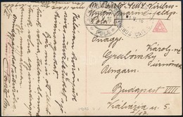 1916 Hadihajó Posta Képeslap 'S.M.S. VIRIBUS UNITUS' - Other & Unclassified