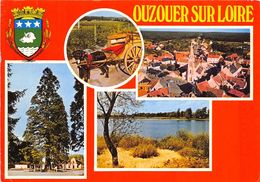 45-OUZOUER-SUR-LOIRE- MULTIVUES - Ouzouer Sur Loire