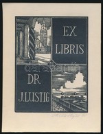 Antonin Dolezal (?-?): Ex Libris Szeged. Dr. J. Lustig. Fametszet, Papír, Jelzett, 12x9 Cm - Autres & Non Classés