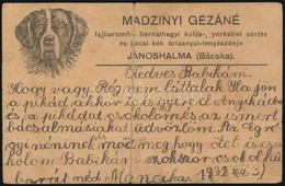 1932 Jánoshalma, Madzinyi Gézáné Fajbaromfi-, Bernáthegyi Kutya-, Yorksirei Sertés és Bécsi Kék óriásnyúl Tenyészdéje Fe - Zonder Classificatie