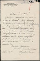 1936 Gombocz Endre (1882-1945) Botanikus Pekár Mihályhoz (1871-1942) Címzett Levele - Non Classificati