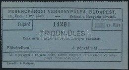 Cca 1920-1930 Bp., Ferencvárosi Versenypálya Tribün ülés Belép?jegy, Szép állapotban - Altri & Non Classificati