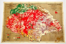 1919 Magyarország Néprajzi Térképe Az 1910. évi Népszámlálás Alapján, Kogutowicz Károly, Magyar Földrajzi Intézet. Nagym - Andere & Zonder Classificatie