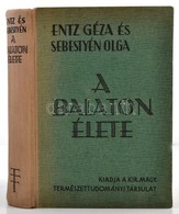 Entz Géza-Sebestyén Olga: A Balaton élete. Bp., 1942, Kir. Magyar Természettudományi Társulat, VIII+366 P.+44 T. Fekete- - Unclassified