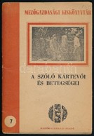 Hullay-Barra: A Sz?l? Kártev?i és Betegségei. Bp.. 1951. Mez?gazdasági. - Non Classificati