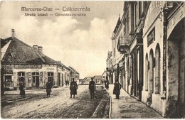 * T2/T3 Csíkszereda, Miercurea Ciuc; Strada Liceul / Gimnázium Utca, Alter Izsó üzlete, Gyógyszertár. Swoboda M. Kiadása - Non Classés