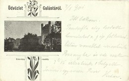 T2/T3 Galánta, Esterházy Kastély / Castle. Art Nouveau, Floral (EK) - Unclassified