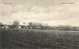 ** T2/T3 Cservenka, Crvenka; Cservenkai Pincék, Sz?lészet. Geyer László Kiadása / Vineyards And Cellars (EK) - Zonder Classificatie